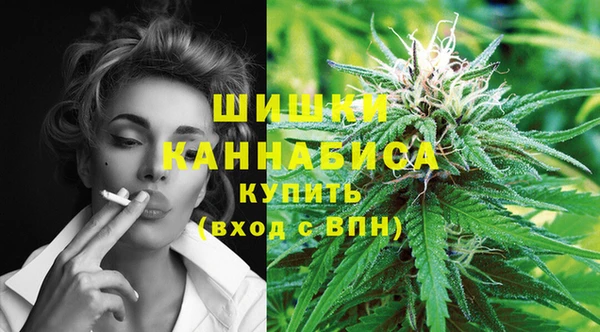 индика Белоозёрский