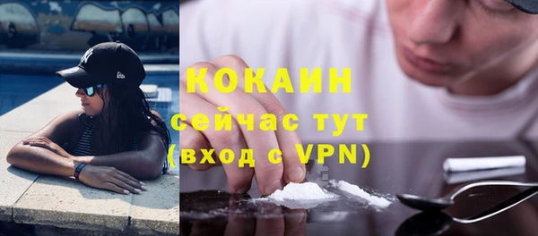 индика Белоозёрский