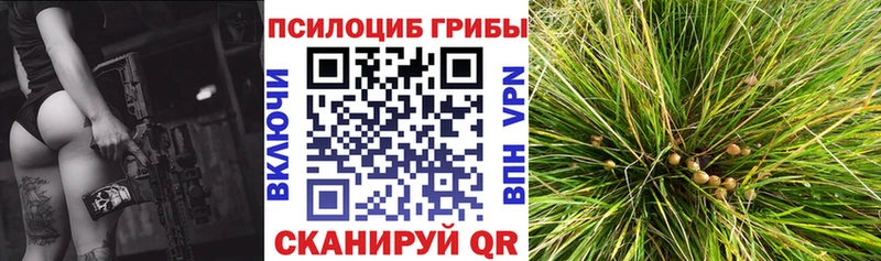Галлюциногенные грибы Magic Shrooms  Пыть-Ях 